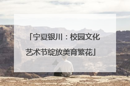 宁夏银川：校园文化艺术节绽放美育繁花